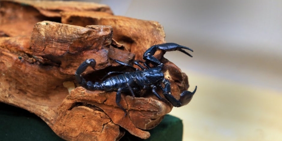 Karadeniz8217de-Tehlikeli-Anlar-Turk-Gemisi-Kerc-Bogazi8217nda-Karaya-Oturdu-featured