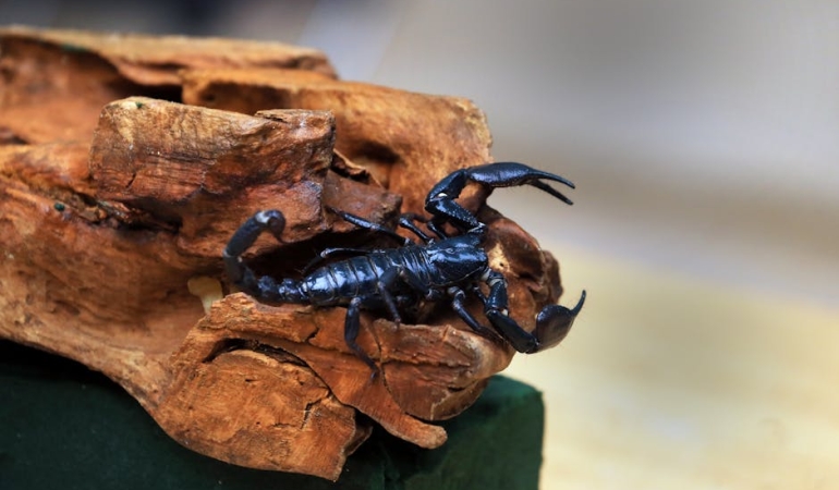 Karadeniz8217de-Tehlikeli-Anlar-Turk-Gemisi-Kerc-Bogazi8217nda-Karaya-Oturdu-featured