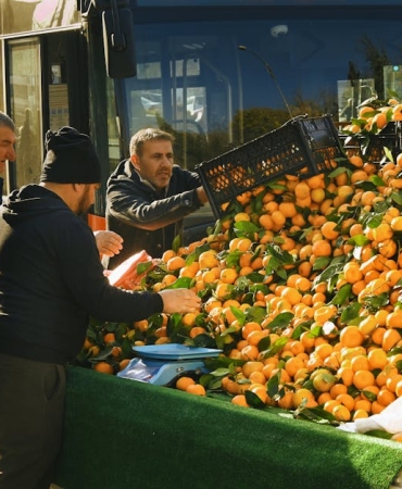 Kars8217ta-Otobus-Kamyona-Carpti-9-Yarali-Hastaneye-Kaldirildi-featured